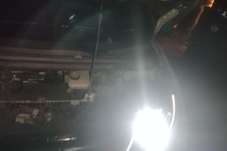 Used BYD Dolphin 2021 405 km Free Version
