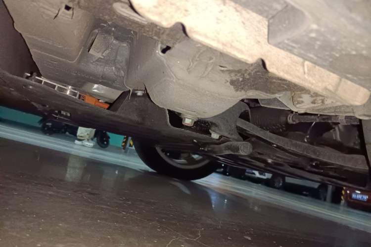 Used ORA Good Cat 2023 401 km Standard Range Luxury Version Lithium Iron Phosphate
