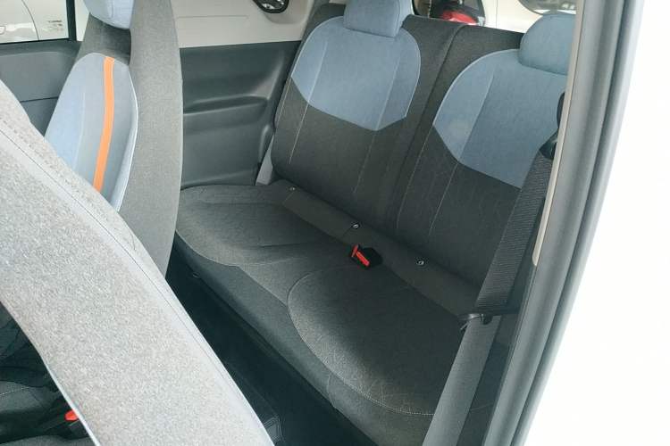 Used  Panda 2024 Panda Mini 200km Endurance Bear
