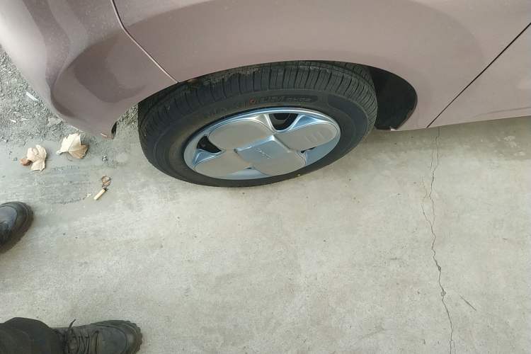 Used  Panda 2024 Panda Mini 200km Endurance Bear