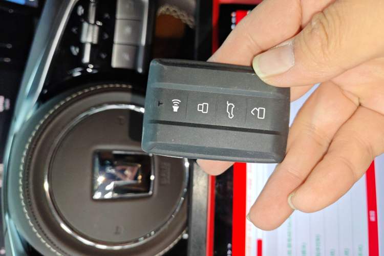 Used Tank 500 New Energy 2025 Hi4-Z
