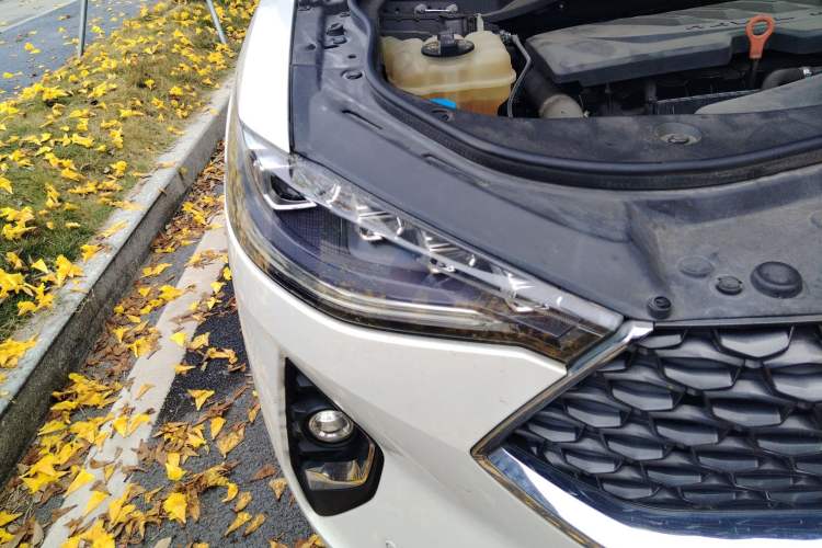 Used Haval F7 2020 1.5T Two-Wheel Drive i-Trend