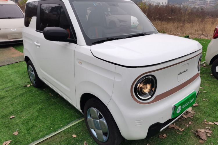 Used  Panda 2024 Panda Mini 200km Endurance Bear
