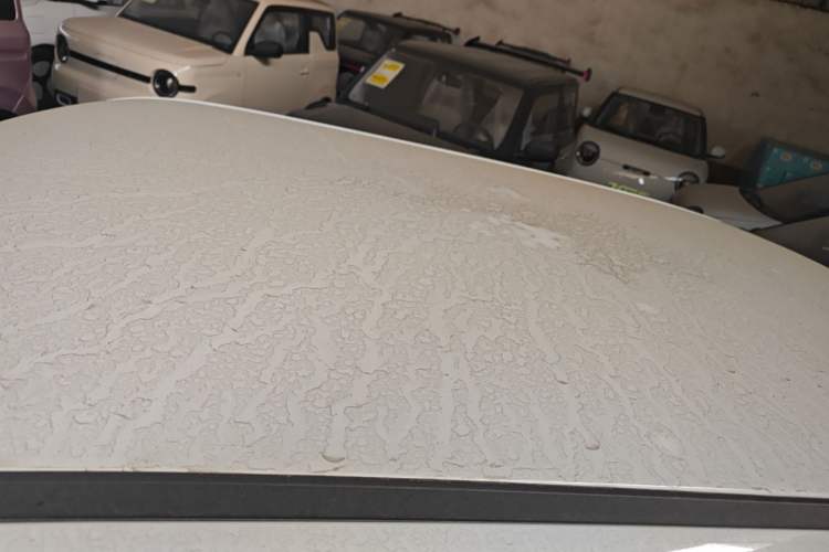 Used  Lumin 2024 130km Qingyue Version
