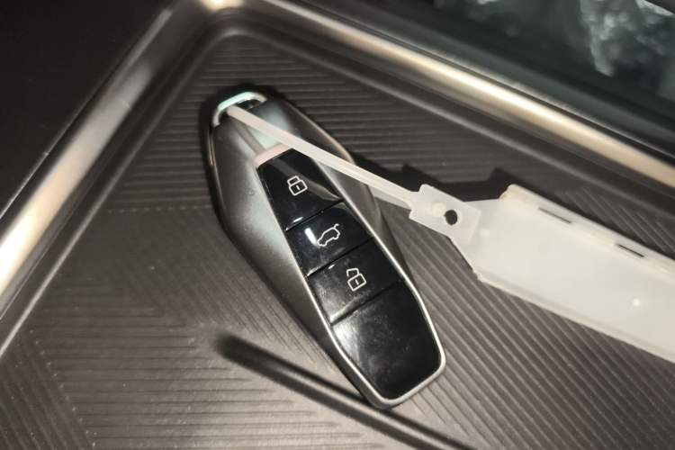 Used  03T 2024 520km Two-Wheel Drive Long-Range Version