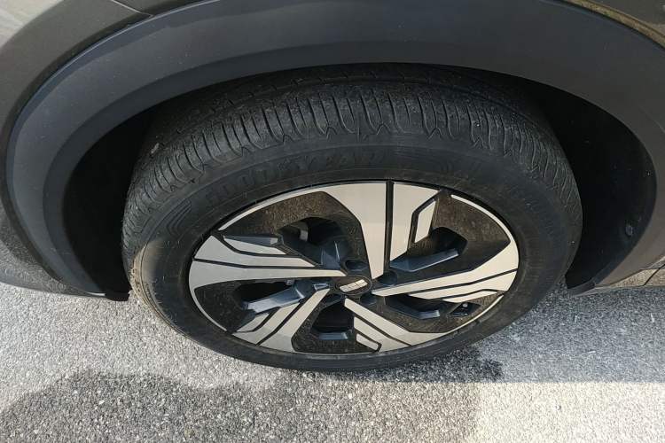 Used  E5 2024 530km Starship Edition
