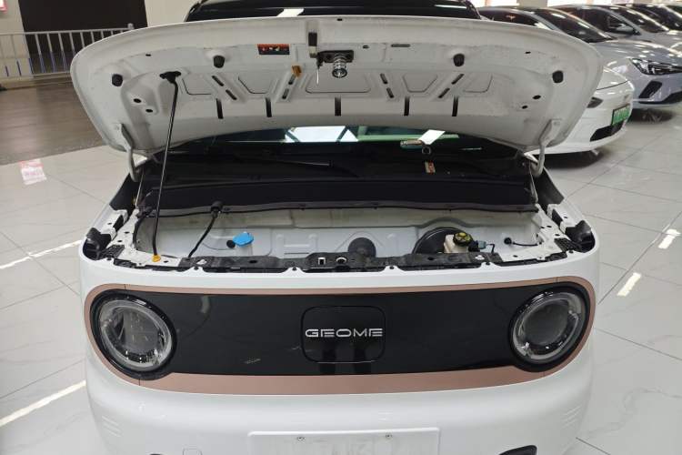 Used  Panda 2023 Panda Mini New Year Edition Treasure Bear