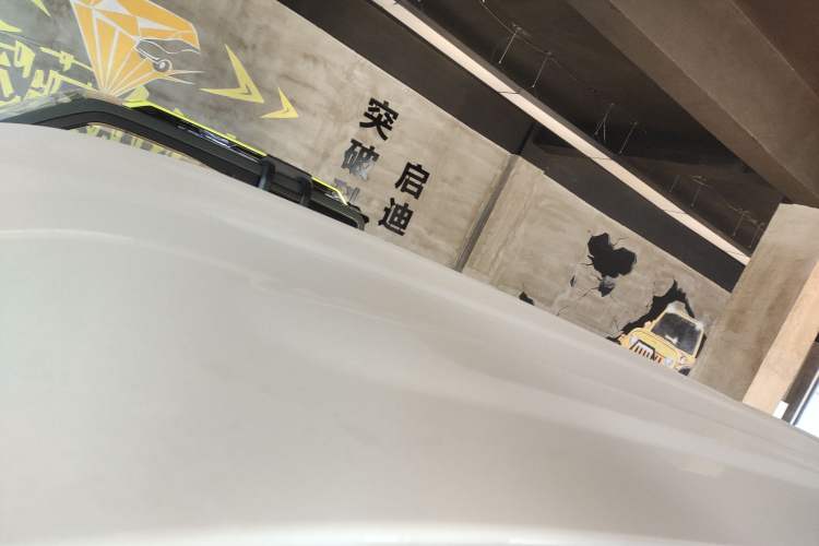 Used  Panda 2025 210 km – Yuanqi Bear