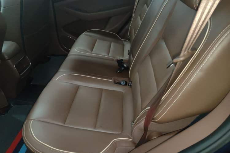 Used Leopaard CS10 2017 2.0T Automatic Urban Version