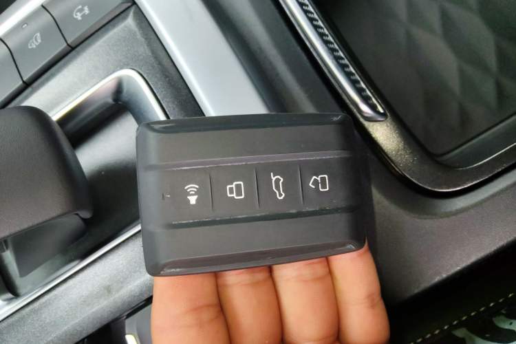 Used Tank 300 2023 City Edition 2.0T—Stylish as Ever
