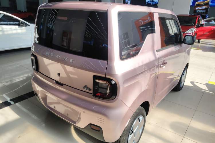 Used  Panda 2023 Panda Mini 200km Endurance Bear
