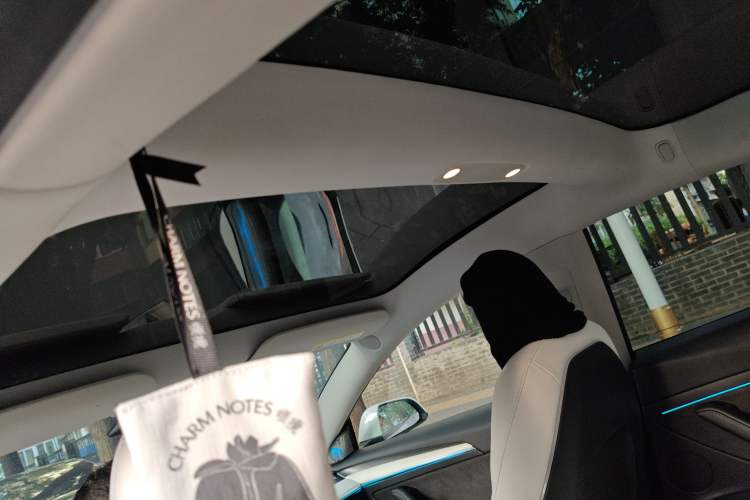 Used Tesla Model 3 2021 Revised Version Standard Range Rear-Wheel Drive Upgraded Edition 3D1
