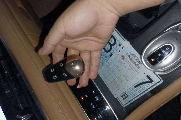 Used VOYAH Dream 2022 Low-Carbon Edition Dream+ Smart Enjoyment Package
