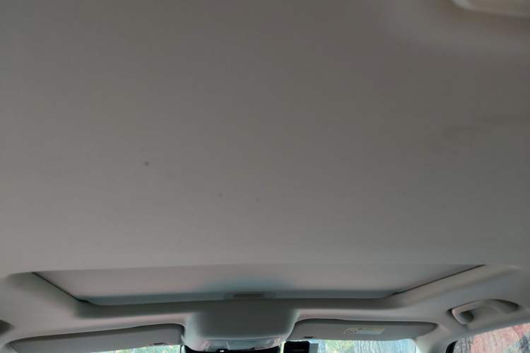 Used Tank 300 2021 Off-Road Edition 2.0T Conqueror