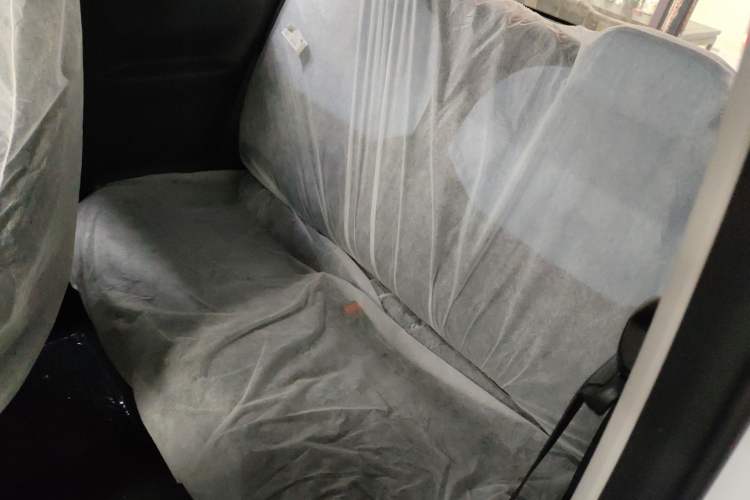 Used  Panda 2024 Panda Mini 200km Longteng PRO Edition
