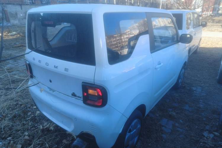 Used  Panda 2024 Panda Mini 200km Endurance Bear