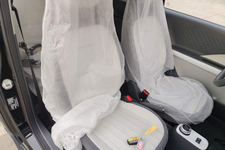 Used  Panda 2025 210km Panda Kart
