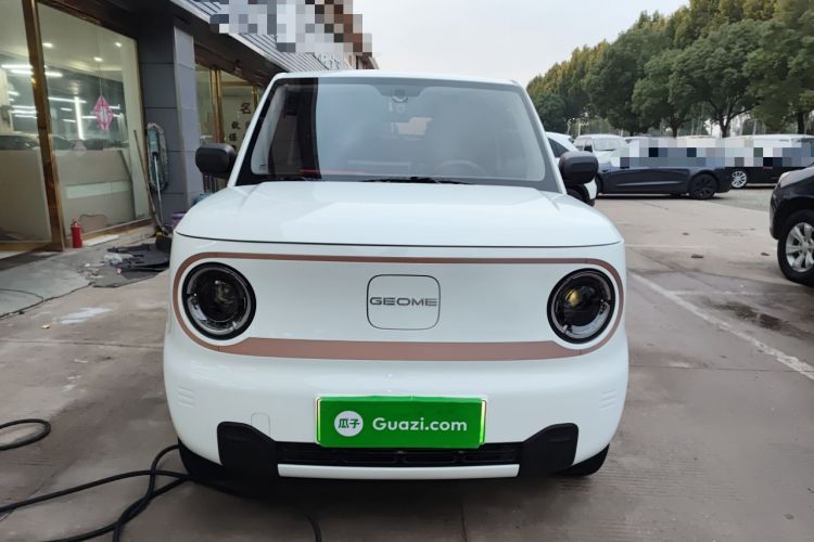 Used  Panda 2024 Panda Mini 200km Endurance Bear
