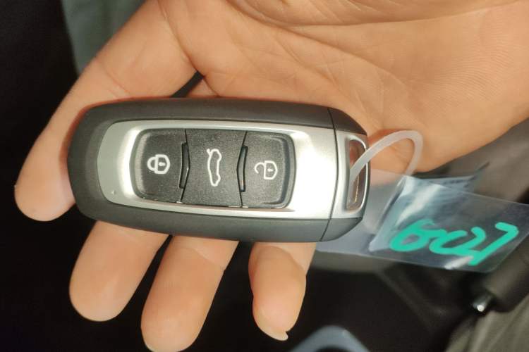 Used  Panda 2024 Panda Mini 200km Longteng PRO Edition
