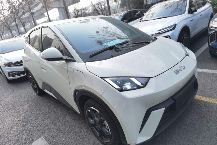 Used BYD Seagull 2024 Honor Edition 305km Freedom Version
