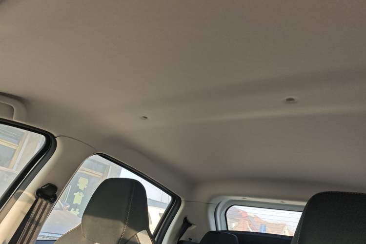 Used SOL E10X 2022 Flower Fairy Design Dandelion