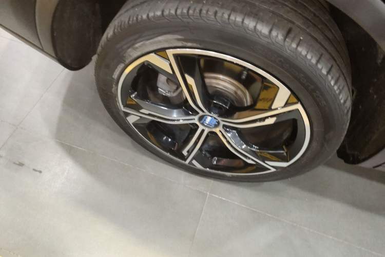 Used BYD Tang New Energy 2021 DM 2.0T Four-Wheel Drive Performance Edition Prestige Model