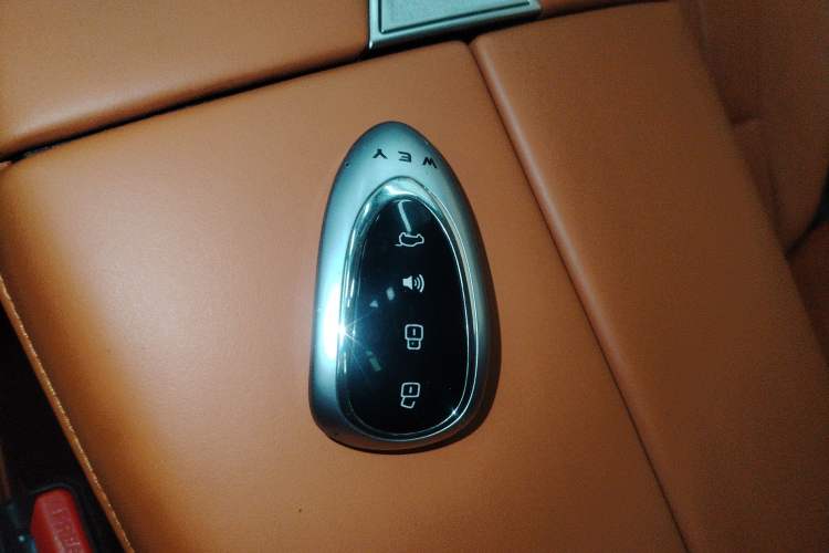 Used Wey Lanshan 2025 Four-Wheel Drive Ultra