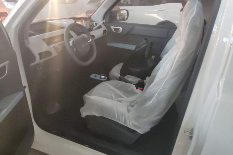 Used  Panda 2024 Panda Mini 200km Endurance Bear