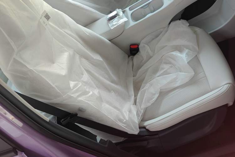 Used  Geome 2025 310km Dream Edition