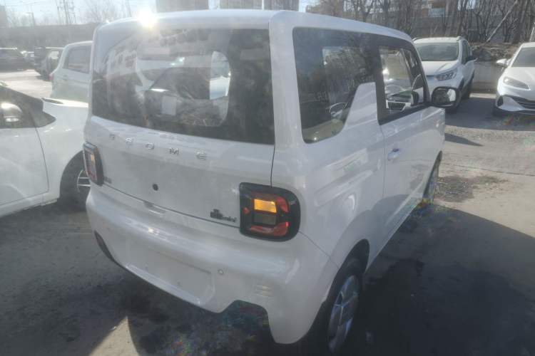 Used  Panda 2024 Panda Mini 200km Endurance Bear
