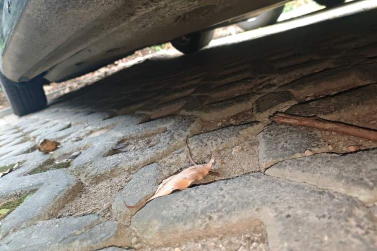 Used Skoda Superb 2009 1.8TSI Automatic Elegant Edition
