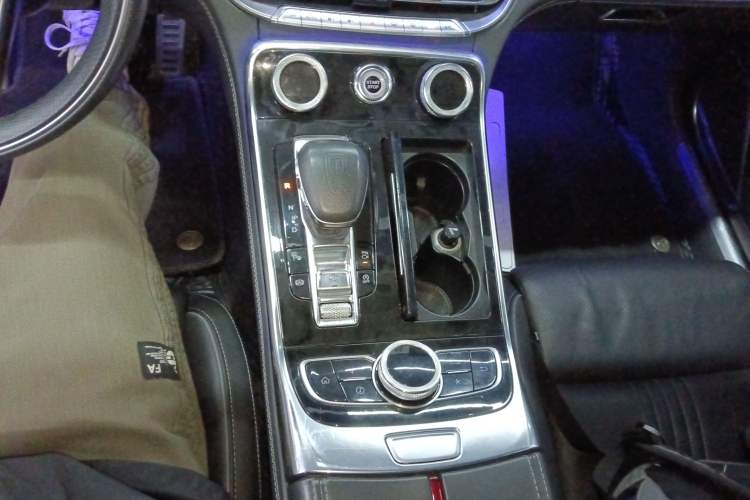 Used Hongqi H9 2020 3.0T Smart Connect Flagship Four-Seat Version