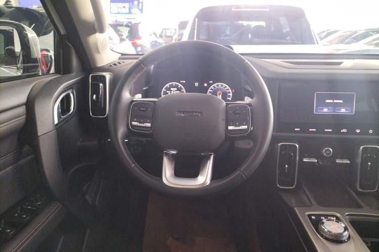 Used Haval DARGO 2024 2.0T DCT Chinese Rural Dog Edition