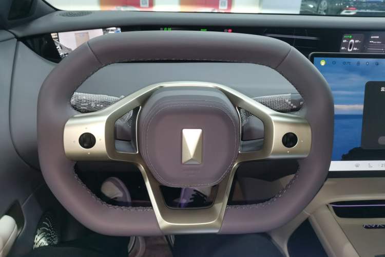 Used  06 2025 Ultra Pure Electric Edition
