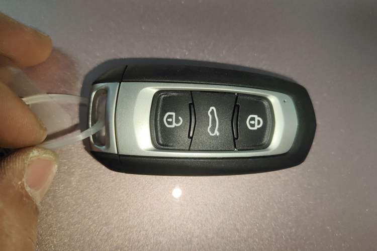 Used  Panda 2025 210 km – Yuanqi Bear