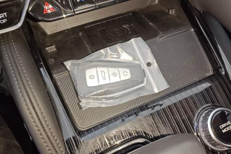 Used Geely Auto Monjaro L 2024 2.0TD High-Power Automatic Two-Wheel Drive Skyline Edition
