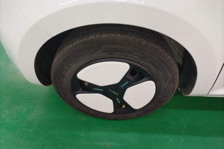 Used Qiyuan Lumin 2023 205km Xiangqin Version
