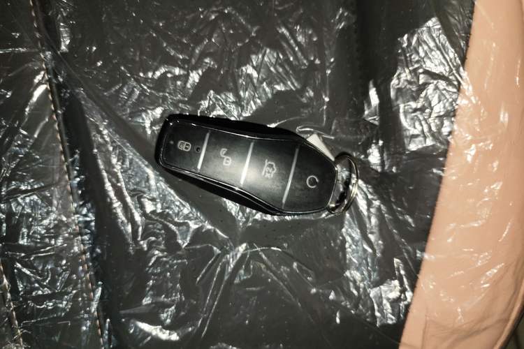 Used BYD Seagull 2025 Intelligent Driving Version 305 km Dynamic Edition
