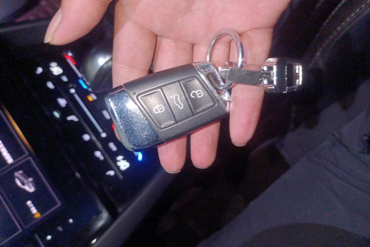 Used Volkswagen Magotan 2020 330TSI DSG Luxury Edition
