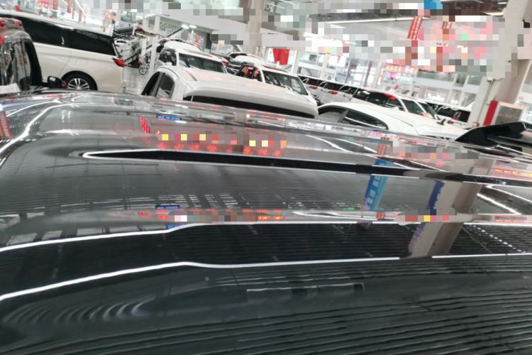 Used  Panda 2024 200km Panda Kart
