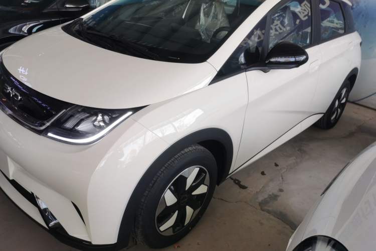Used BYD Dolphin 2025 420km Free Edition
