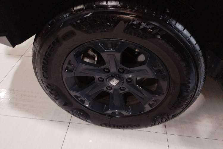 Used Tank 400 2025 2.0T Gasoline Version
