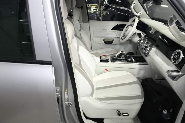 Used  Tank 300 2021 2.0T Cyber Tank