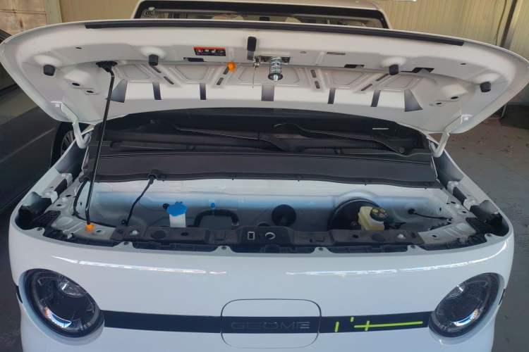 Used  Panda 2025 210 km – Yuanqi Bear
