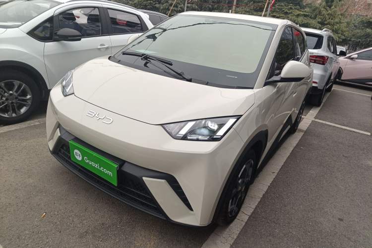 Used BYD Seagull 2025 305 km Free Version