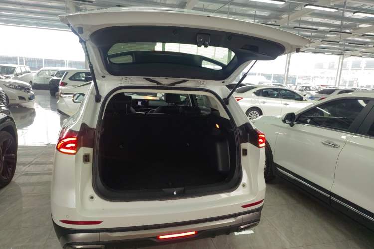 Used Haval H6 2021 National Trend Edition 1.5T Automatic Urban Version
