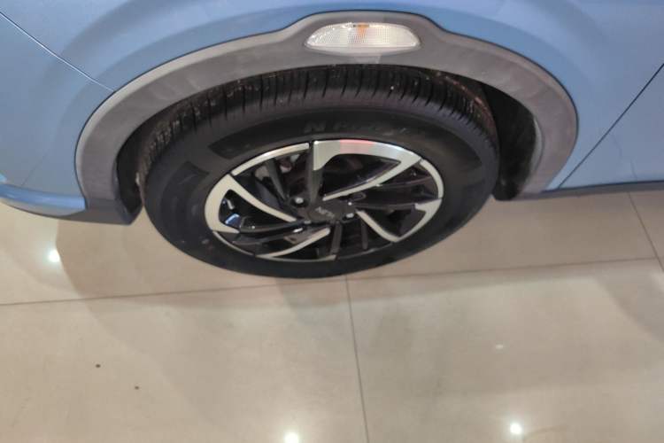 Used NETA V 2021 Long-Range Entertainment Edition Upgrade Model
