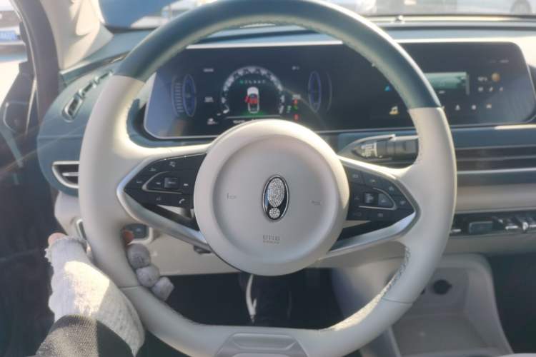 Used ORA Good Cat 2021 400km Standard Range Muse Edition Lithium-Ion Battery