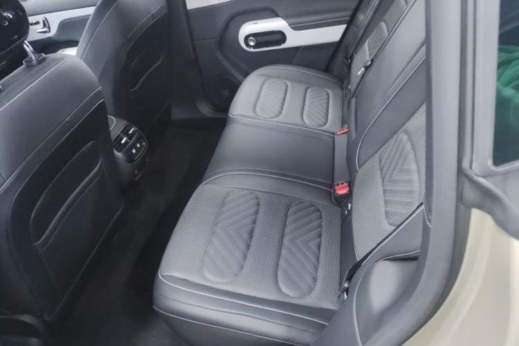 Used  #5 2025 Ultra-Long Range Luxury Four-Wheel Drive Edition