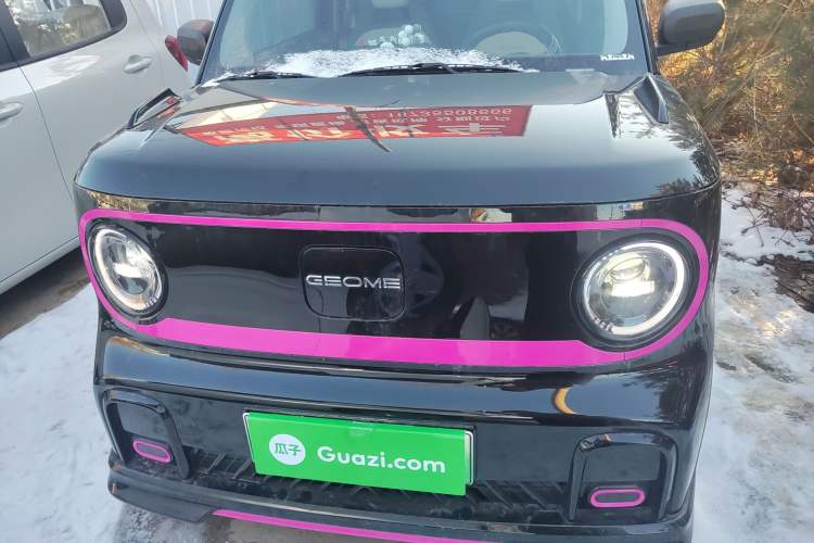 Used  Panda 2025 210km Panda Kart
